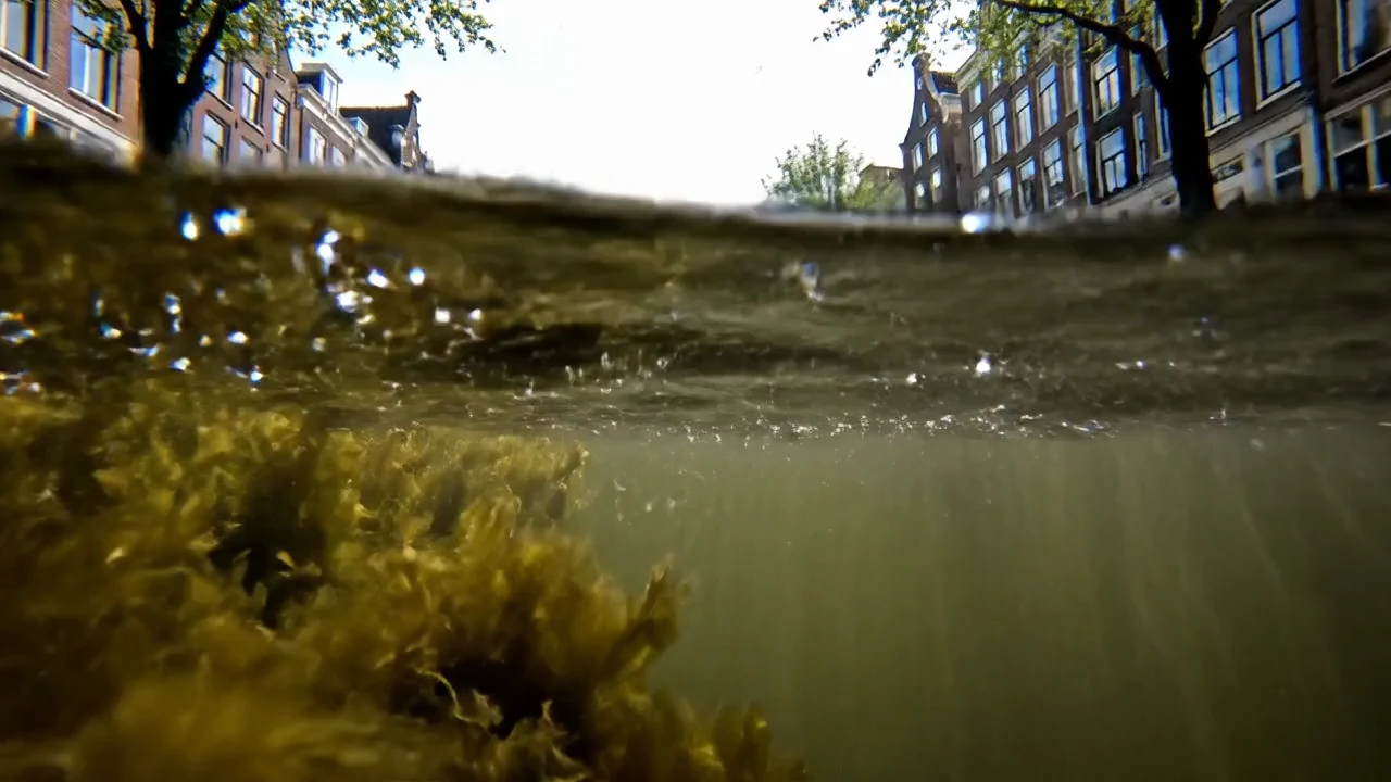 A canal viewed from above and below the water surface